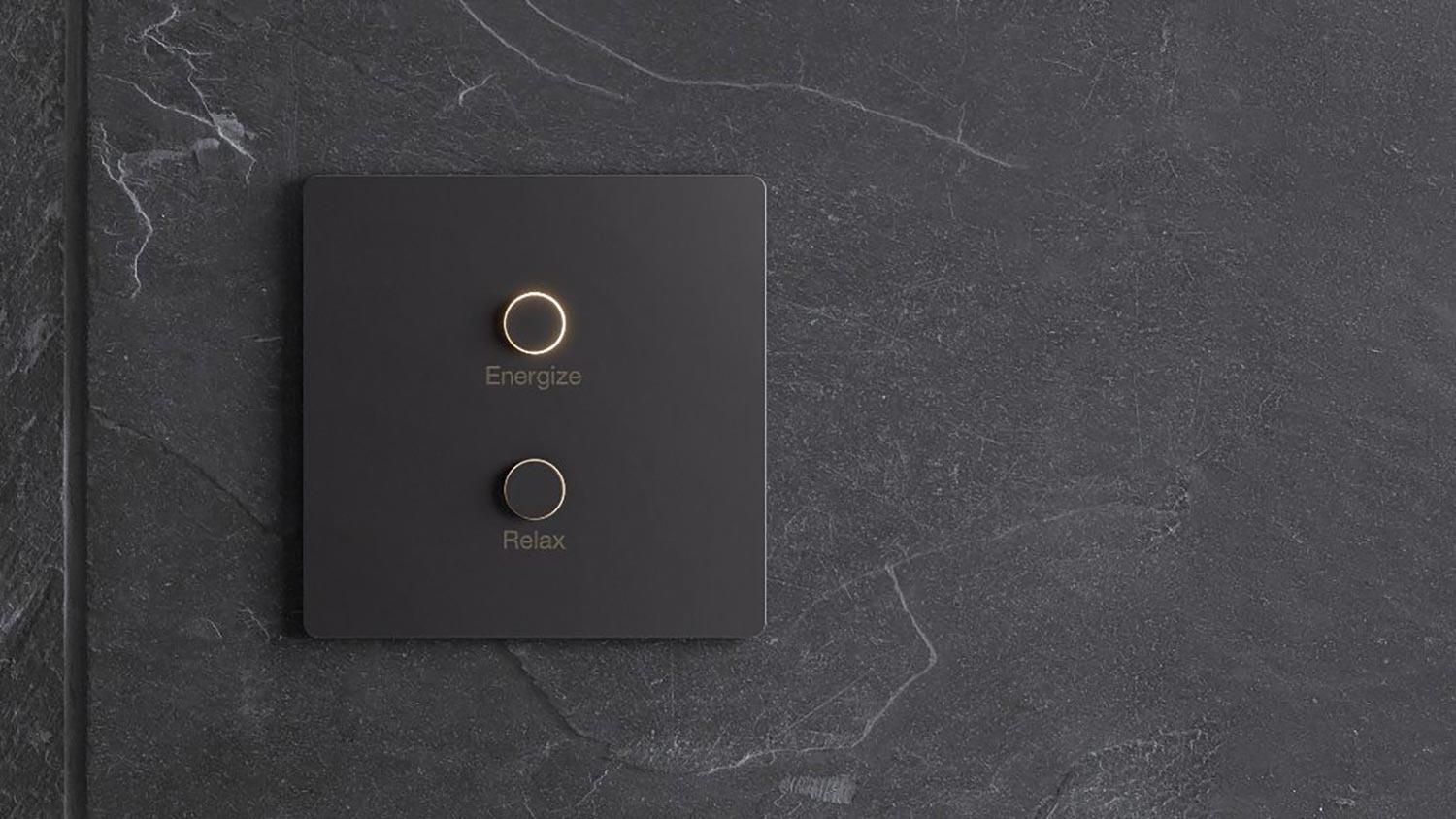 Elegant Lutron Alisse black smart switch with "Energize" and "Relax" buttons on a textured dark wall.